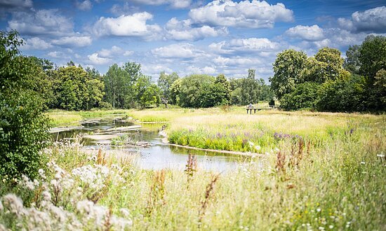 Donauursprung Donaueschingen