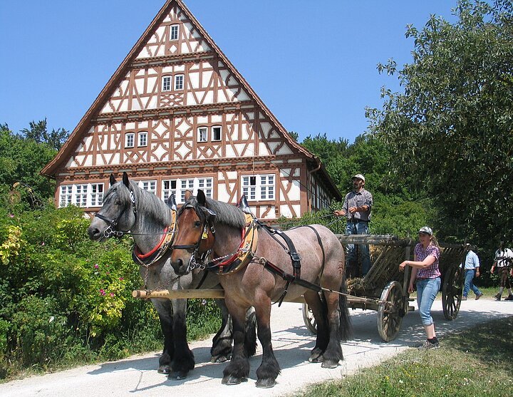 Donaubergland-Pferdefuhrwerk-Donau-Sehenswürdigkeit-FreilichtmuseumNoE