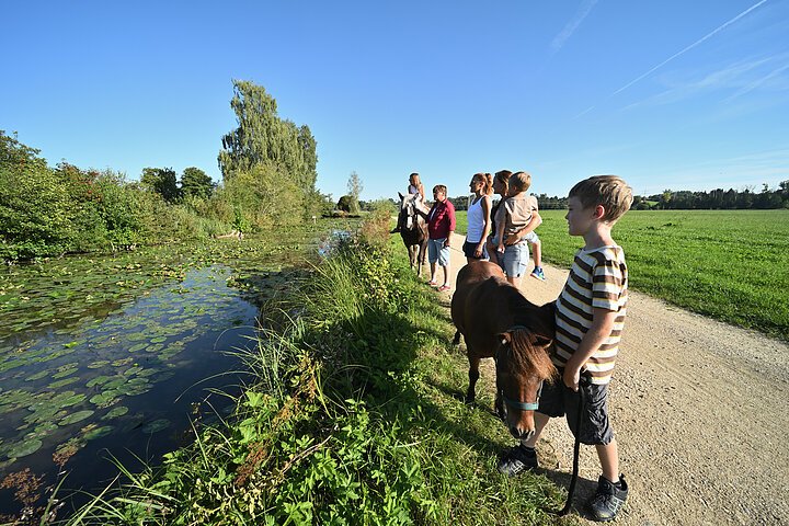 DEU, Stadt Munderkingen, Donau,  Bildarchiv, Kontakt: email: tourismus@munderkingen.de;    Fotograf: Thomas Stephan, Kontakt: Tel.: 0171-8396045, email: mail@thomas-stephan.de