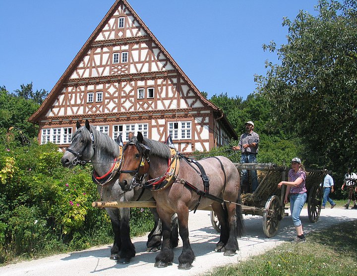 Donaubergland - Neuhausen Pferdefuhrwerk