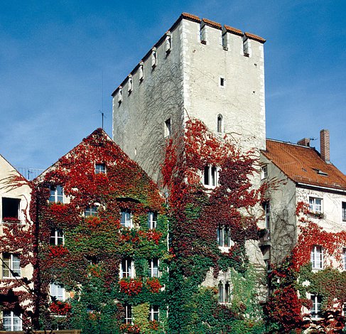 Regensburg - Im Drießl