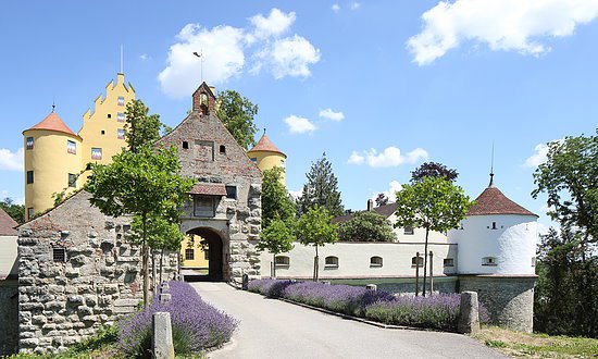 Erbach - Schloss 2