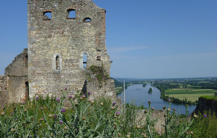 Blick von der Ruine Donaustauf ins Donautal