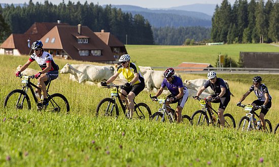 Furtwangen - Schwarzwald Bike Marathon 2