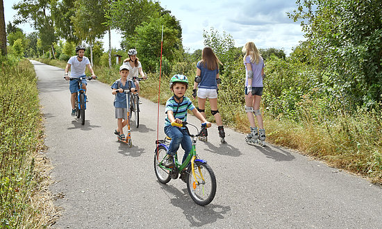 Langenau - Donauried Fahrrad